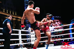 UFC双冠王参与《终极格斗冠军赛4》选手星级评定