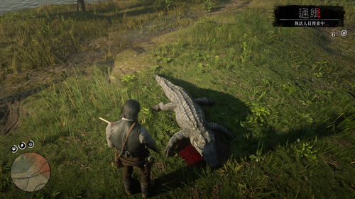 《荒野大镖客OL》全新传说动物：特卡太阳短吻鳄上线