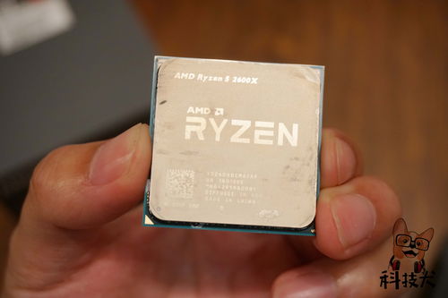 AMD锐龙5000发布 世界上最快的游戏CPU