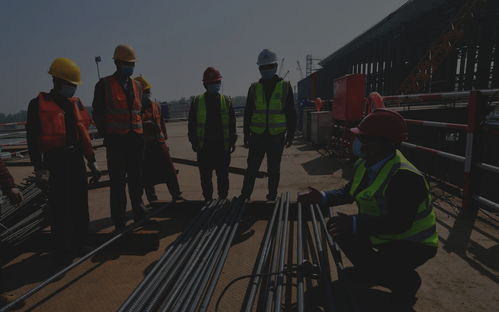 《维京城建设者》预告短片已经发布 在恶劣的环境下建造家园