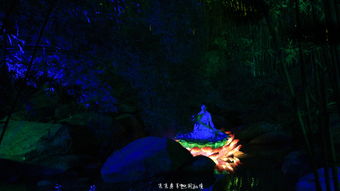 《仙境之夜：白兔奇幻记》已登陆steam平台 不一样的梦境旅程