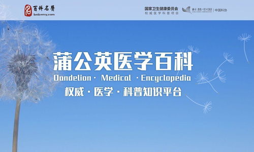 P5S宣布将延期推出 主要原因是英文配音无法准时完成