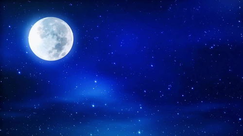 《仰望夜空的星辰》 2021年2月5日正式支持官方中文