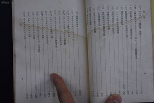 Ori开发商和发行商为保护森林捐赠了 5.8万美元的收益