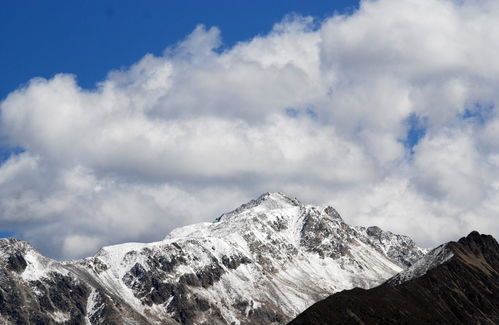 《宝可梦》2021年美国实体销售额创新高 20年来最高峰